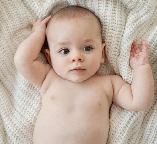 AdobeStock_326603409_2 - Mustela Multi-market - 1