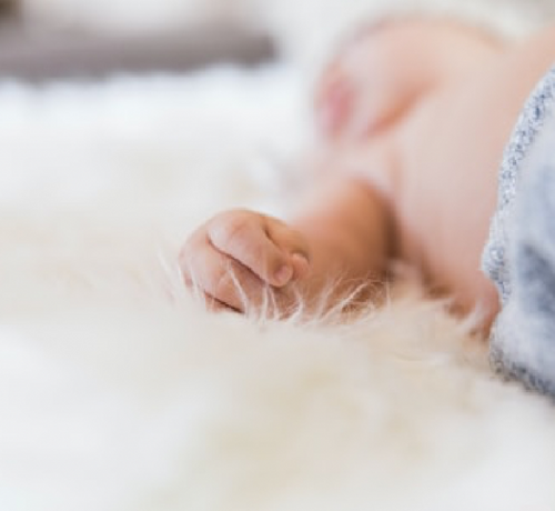 bebemenu - Mustela Multi-market - 1