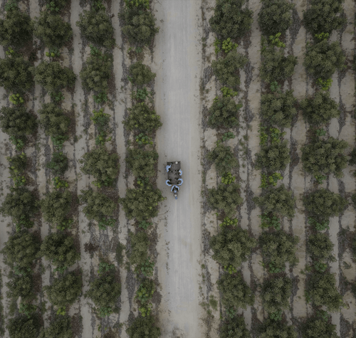 Champs-min_1 - Mustela Multi-market - 1