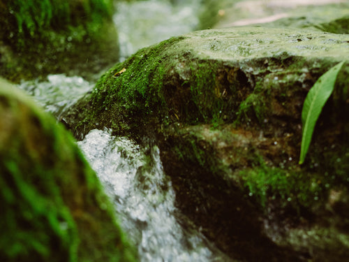 composition_et_production_2 - Mustela Multi-market - 1