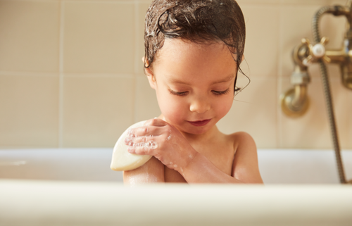 Mustela Multi-market - Mustela Multi-market - 1