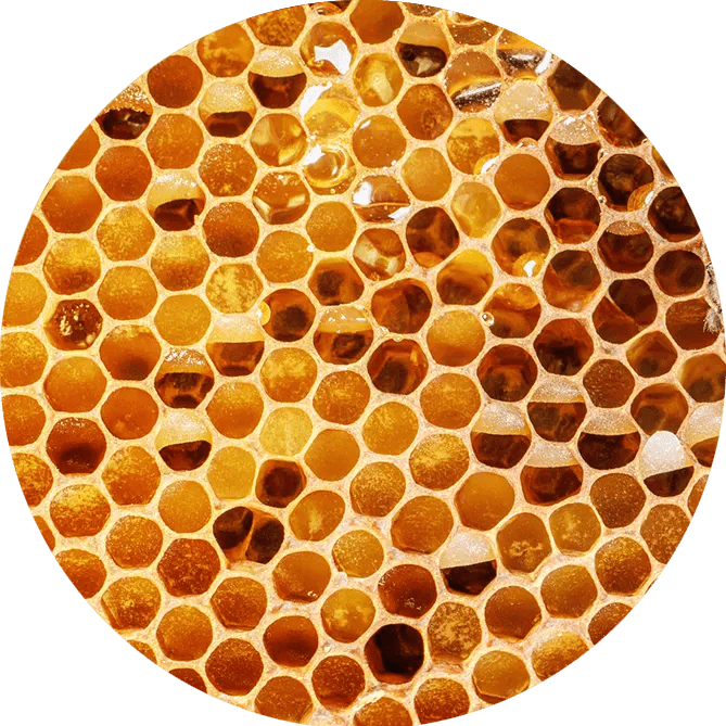 Beeswax 