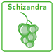 schizandra PTS