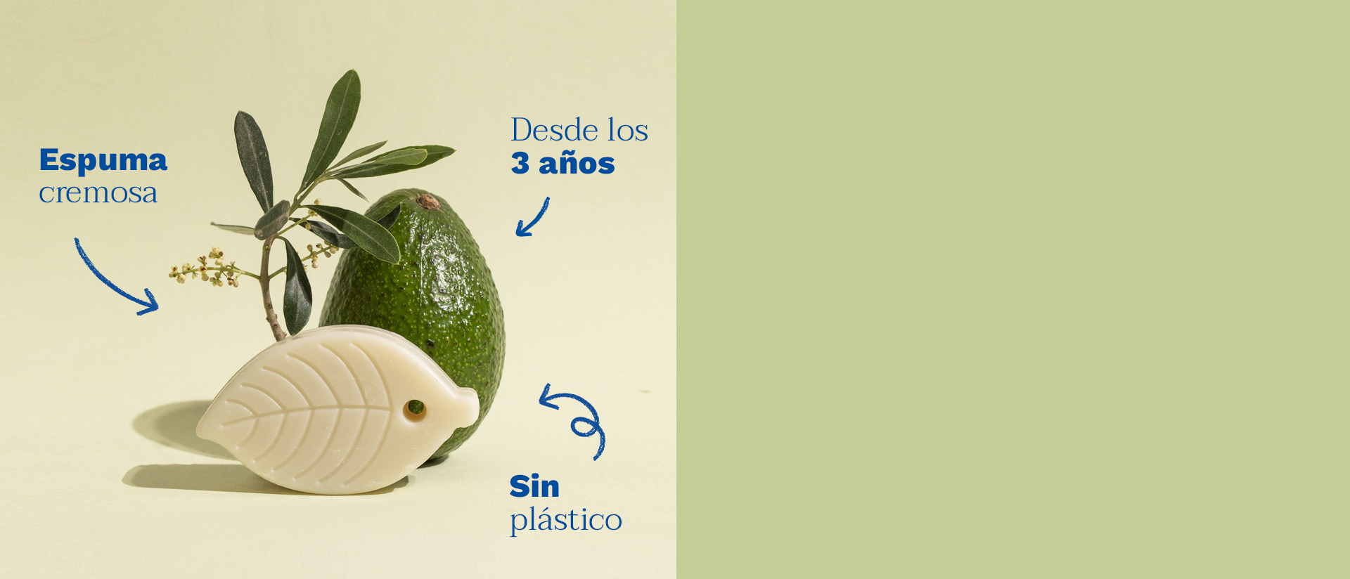 shampoing solideES.png