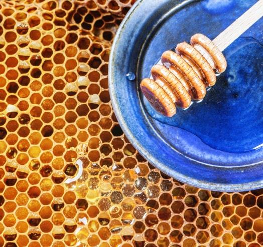 Qué hay en nuestros productos: Cera de abeja orgánica